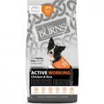 Burns Active – Chicken & Brown Rice – 12kg