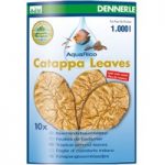 Dennerle Catappa Leaves – 10 pieces