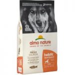 Almo Nature Holistic Dog Food – Large Adult Salmon & Rice – Economy Pack: 2 x 12kg