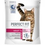 Perfect Fit Adult 1+ Rich in Salmon – 2.8kg