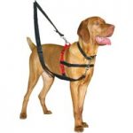 Halti Dog Training Harness – Size M