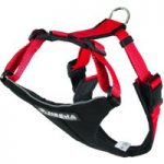NEEWA Running Harness – Red – Size M