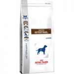 Royal Canin Veterinary Diet Dog – Gastro Intestinal GI 25 – Economy Pack: 2 x 14kg