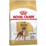 Royal Canin Boxer Adult – 12kg