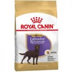 Royal Canin Sterilised Labrador Retriever Adult – Economy Pack: 2 x 12kg