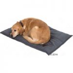 Freedom Dog Cushion – Grey – 100 x 70 x 4 cm (L x W x H)