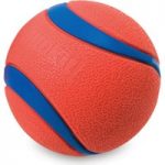 Chuckit! Ultra Ball – Size L: Diameter 7.6cm