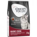 Concept for Life Maine Coon Adult – 10kg