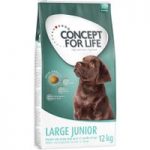 Concept for Life Large Junior – Economy Pack: 2 x 12kg
