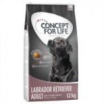 Concept for Life Labrador Retriever Adult – Economy Pack: 2 x 12kg