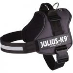 JULIUS-K9® Power Harness – Anthracite – Size 1