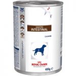 Royal Canin Veterinary Diet Dog – Gastro Intestinal – 12 x 400g