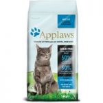 Applaws Ocean Fish with Salmon Cat Food – Economy Pack: 2 x 6kg