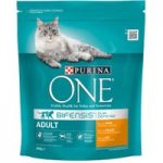 Purina ONE Adult Chicken & Whole Grains Dry Cat Food – 800g