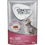 Concept for Life All Cats – in Gravy – 48 x 85g