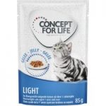 Concept for Life Light – in Jelly – 48 x 85g