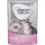 Concept for Life Kitten – in Gravy – 48 x 85g