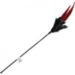 Mystic Long Feather Cat Pole – 1 Toy