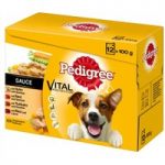 Pedigree Pouch in Gravy Multipack – Saver Pack: 24 x 100g
