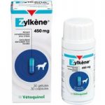Zylkene Capsules 450mg for Large Dogs 30kg+ – Saver Pack: 2 x 30 capsules