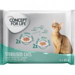 Concept for Life Mixed Trial Pack 4 x 85g – Kitten