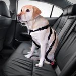 Trixie Dog Car Harness – Size L
