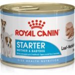Royal Canin Starter Mousse Mother Babydog – Saver Pack: 24 x 195g