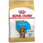 Royal Canin Cocker Spaniel Puppy – Economy Pack: 2 x 3kg
