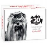 Royal Canin Birthday Edition Box for Mini Dogs – 1 Box