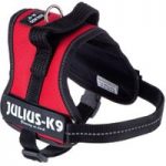 JULIUS-K9® Power Harness – Red – Mini