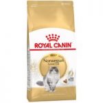 Royal Canin Norwegian Forest Cat – Economy Pack: 2 x 10kg
